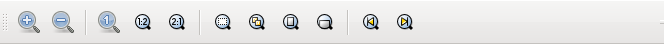 The Zoom Tool Controls.