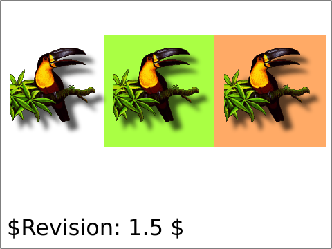 raster image of image-09-t.png