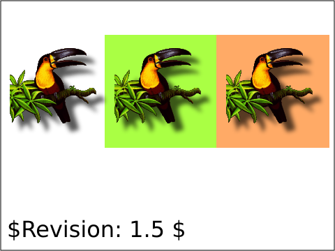 raster image of image-09-t.png