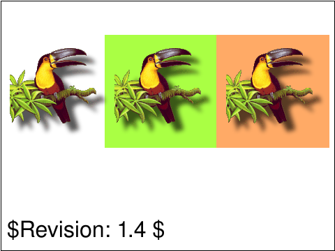 raster image of image-09-t.png